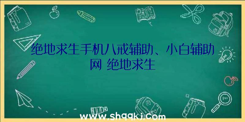 绝地求生手机八戒辅助、小白辅助网